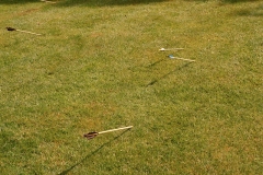 Archery-by-William-Alexander-13