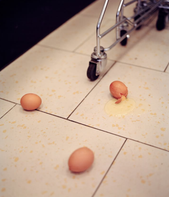 Eggs - Skinner boxes and crumbs